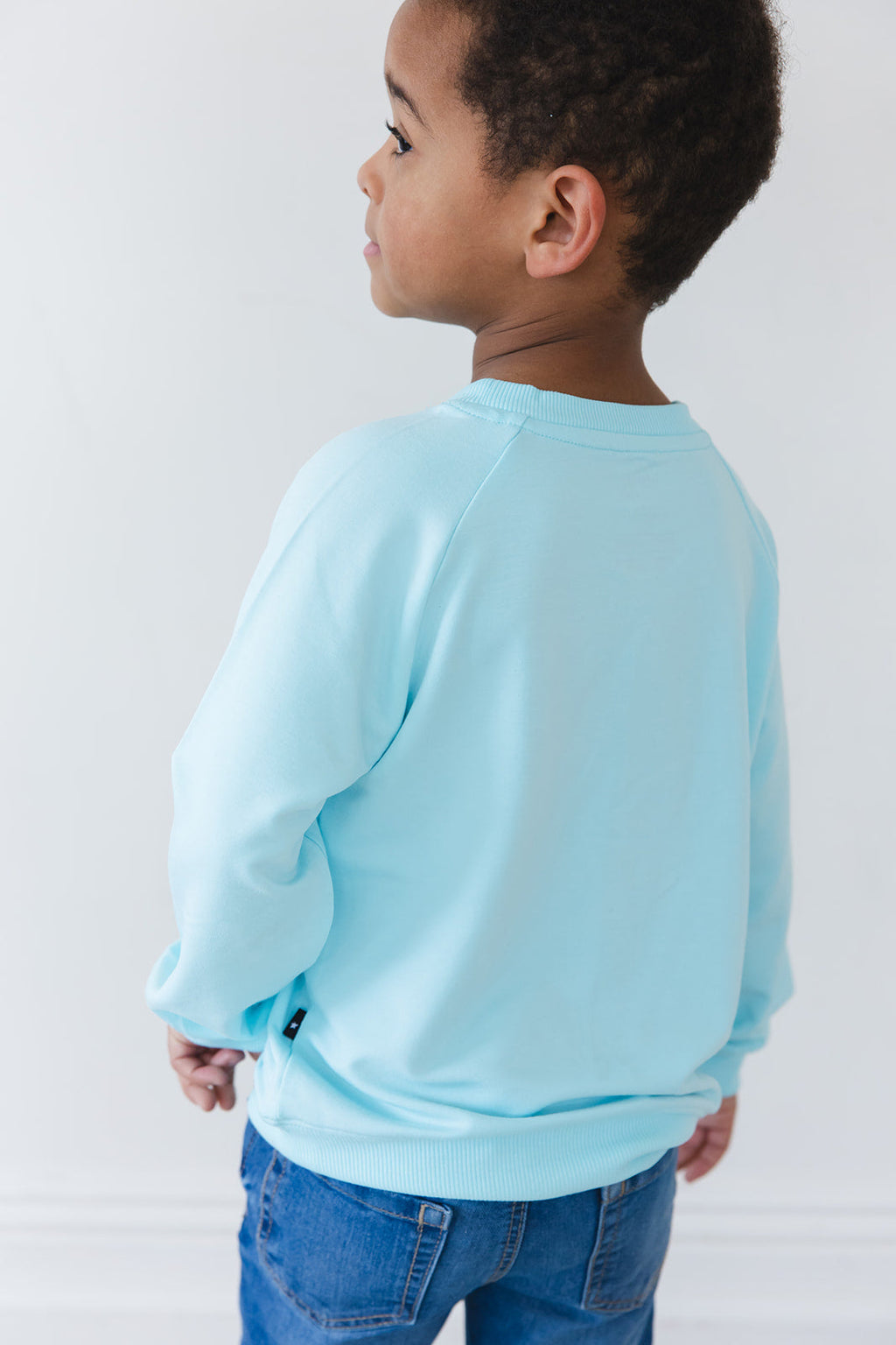 (SOLID) Magical Mashup - Bamboo Terry Sweatshirt